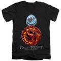 Game of Thrones Combined Targaryn And Stark - Men's V-Neck product image 1
