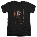 Hobbit Movie Trilogy, The Gloin Poster - Men's V-Neck T-Shirt