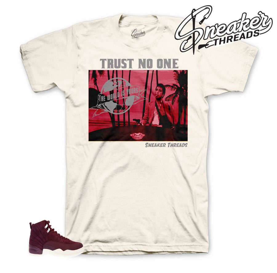 Retro 12 Bordeaux Tony Knows Shirt